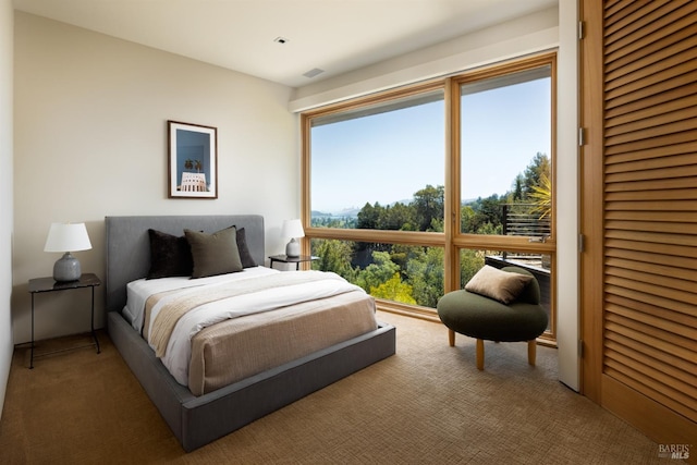 2 Upper Alcatraz Pl, Mill Valley, CA 94941 - bedroom featuring carpet flooring