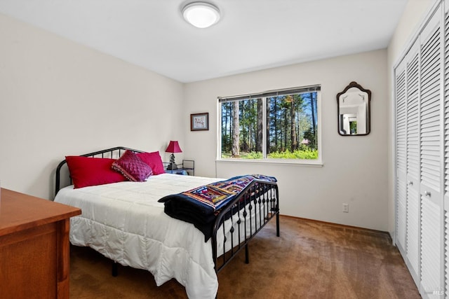 1019 Westside Rd, Healdsburg, CA 95448 - bedroom featuring carpet, a closet, and baseboards