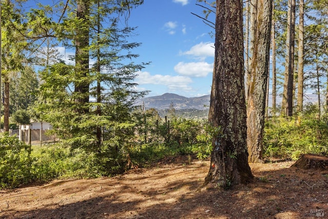 1019 Westside Rd, Healdsburg, CA 95448 - view of mountain background