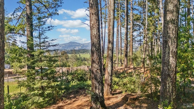 1019 Westside Rd, Healdsburg, CA 95448 - view of mountain background