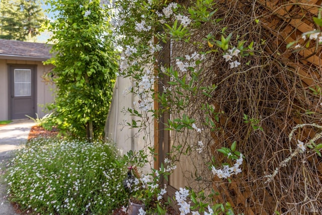 1019 Westside Rd, Healdsburg, CA 95448 - view of side of home