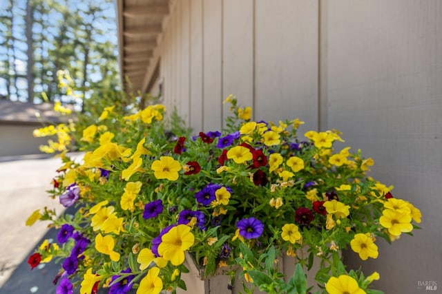 1019 Westside Rd, Healdsburg, CA 95448 - exterior view