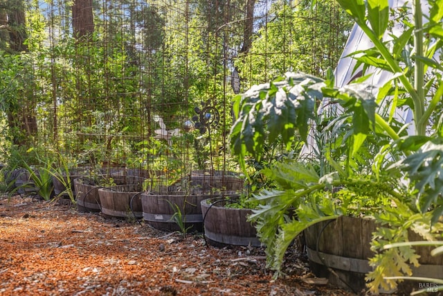 1019 Westside Rd, Healdsburg, CA 95448 - view of yard featuring fence and a vegetable garden