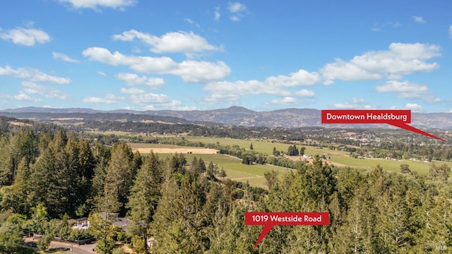 1019 Westside Rd, Healdsburg, CA 95448 - mountain view