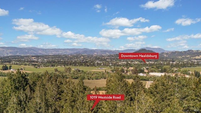 1019 Westside Rd, Healdsburg, CA 95448 - view of mountain backdrop