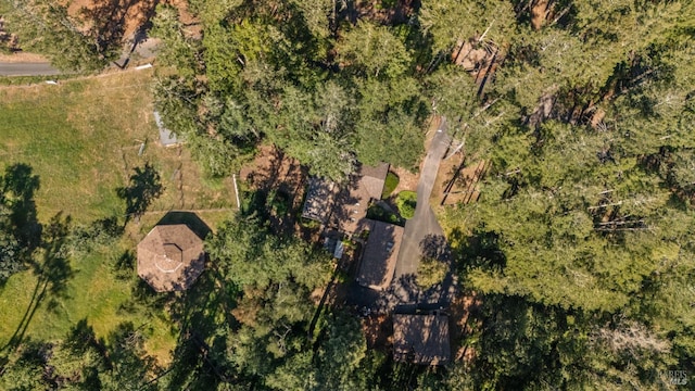 1019 Westside Rd, Healdsburg, CA 95448 - aerial view of property's location