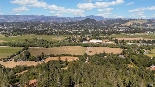 1019 Westside Rd, Healdsburg, CA 95448 - view of rural area featuring a mountainous background