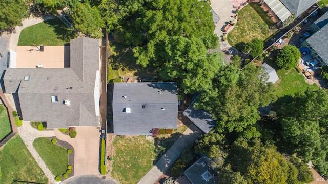 bird's eye view