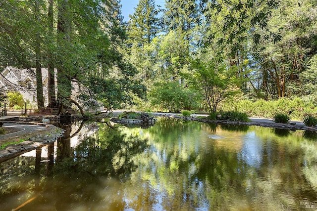 711 Furlong Rd, Sebastopol, CA 95472 - water view