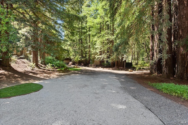 711 Furlong Rd, Sebastopol, CA 95472 - view of asphalt road featuring a forest view