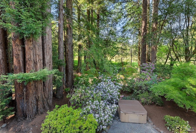 711 Furlong Rd, Sebastopol, CA 95472 - view of yard featuring a hot tub