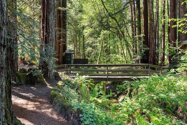 711 Furlong Rd, Sebastopol, CA 95472 - view of property's community featuring a view of trees and fence