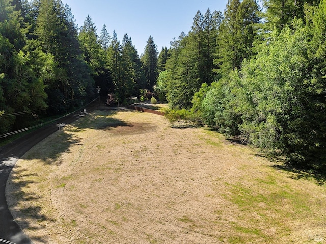 711 Furlong Rd, Sebastopol, CA 95472 - view of road with a wooded view