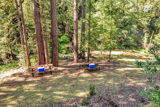 4444 Redwood Rd, Napa, CA 94558 - view of yard