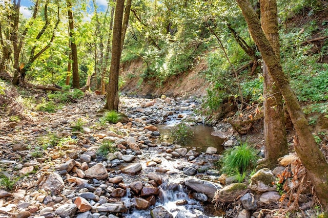 4444 Redwood Rd, Napa, CA 94558 - view of tree filled area