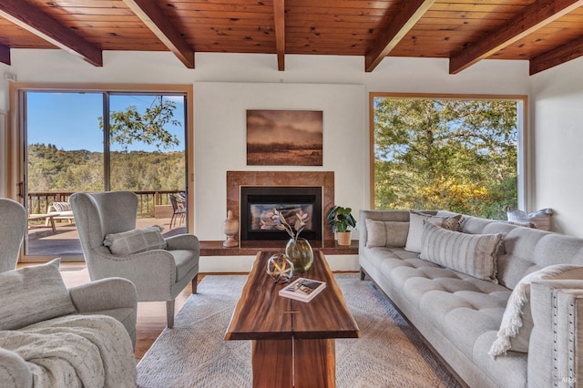 4444 Redwood Rd, Napa, CA 94558 - living room featuring beamed ceiling, wood finished floors, wood ceiling, and a glass covered fireplace