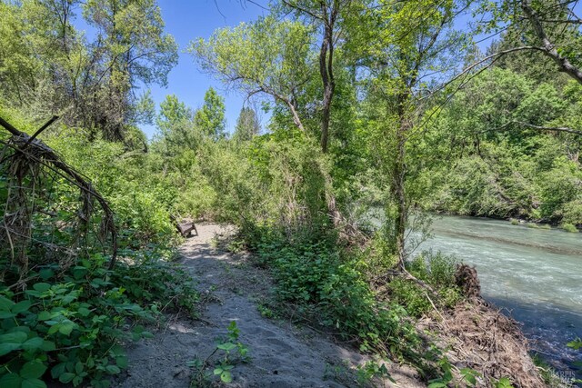 17651 Van Arsdale Rd, Potter Valley, CA 95469 - view of yard featuring a view of trees