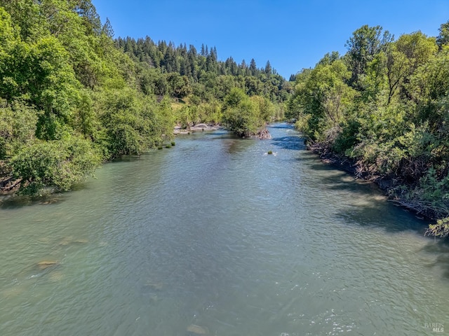 17651 Van Arsdale Rd, Potter Valley, CA 95469 - water view with a forest