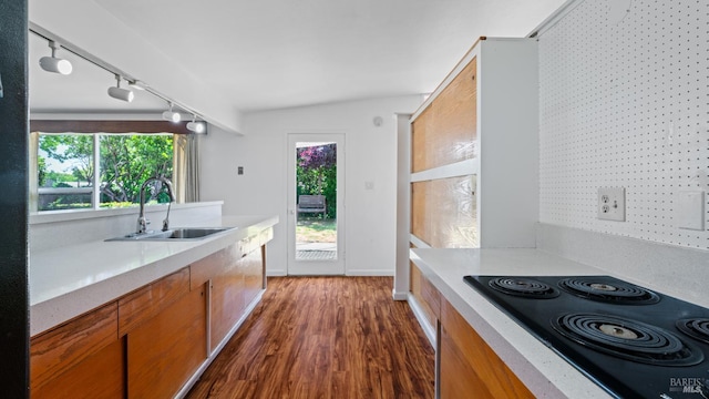 375 Las Colindas Rd, San Rafael, CA 94903 - kitchen featuring a sink, rail lighting, light countertops, dark wood-style flooring, and healthy amount of natural light