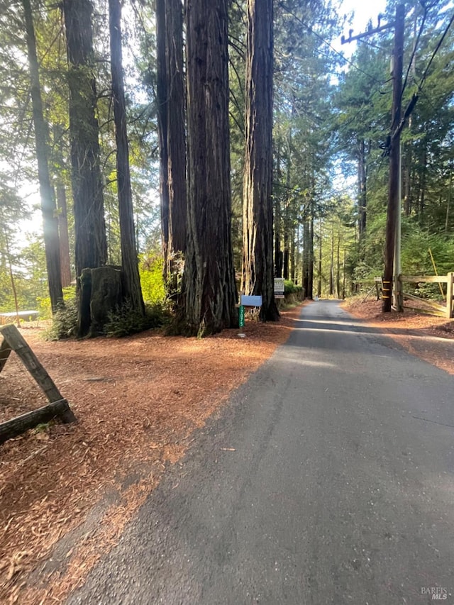 17075 Fitzpatrick Ln, Occidental, CA 95465 - view of street