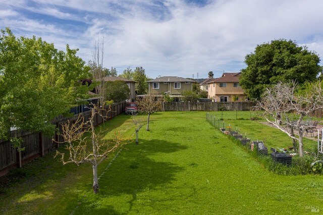 316 Vallejo St, Petaluma, CA 94952