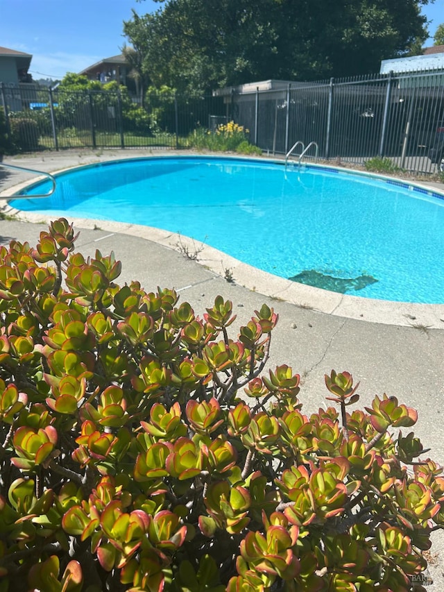 26 Fairfax Unit C, San Rafael, CA 94901 - view of swimming pool featuring a patio
