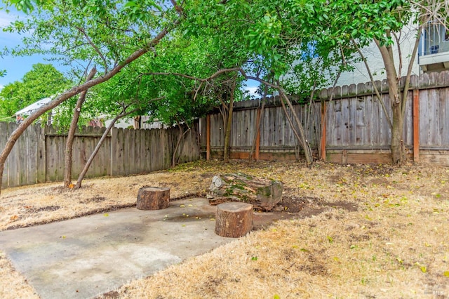 fenced backyard featuring a patio