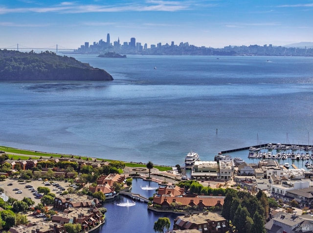44 Lagoon Vis, Tiburon, CA 94920 - water view featuring a skyline view