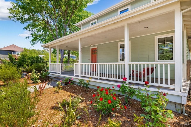 58 Randolph St, Napa, CA 94559 - doorway to property with a porch
