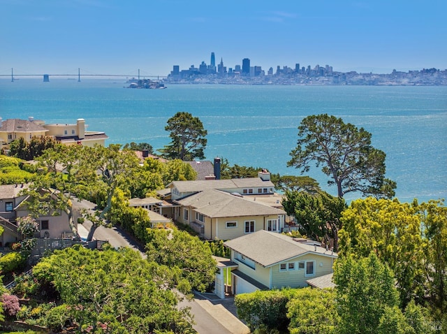 419 Golden Gate Ave, Belvedere, CA 94920 - water view featuring skyline