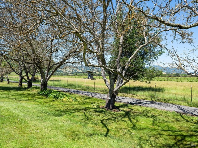 175 Temelec Cir, Sonoma, CA 95476 - view of grassy yard