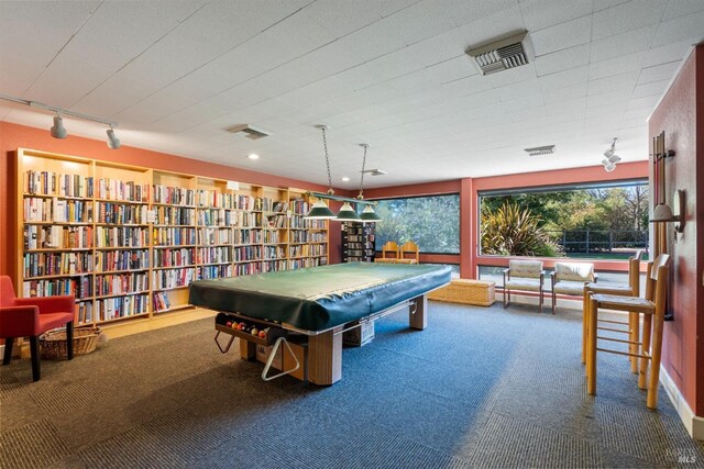 20912 Via Colombard, Sonoma, CA 95476 - recreation room with track lighting and carpet