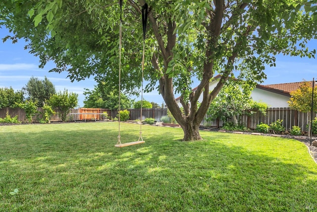 2812 Silver Fox Cir, Fairfield, CA 94534 - view of yard