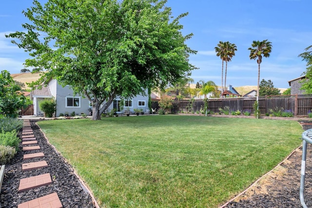 2812 Silver Fox Cir, Fairfield, CA 94534 - view of yard