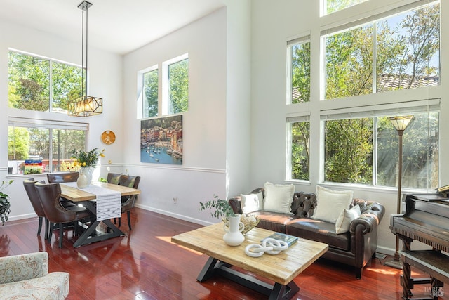 2130 Camenson St, Napa, CA 94558 - living room featuring plenty of natural light, hardwood / wood-style floors, and a high ceiling
