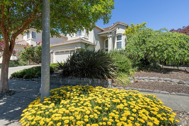 2130 Camenson St, Napa, CA 94558 - view of front of property with stucco siding and a garage
