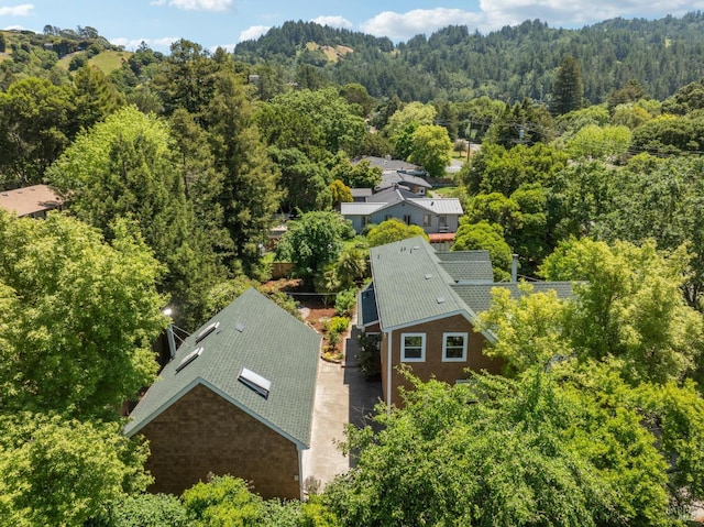 231 Railroad Ave, Woodacre, CA 94973 - view of subject property featuring a forest