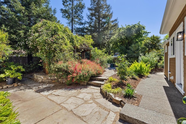 231 Railroad Ave, Woodacre, CA 94973 - view of yard with a patio area and fence