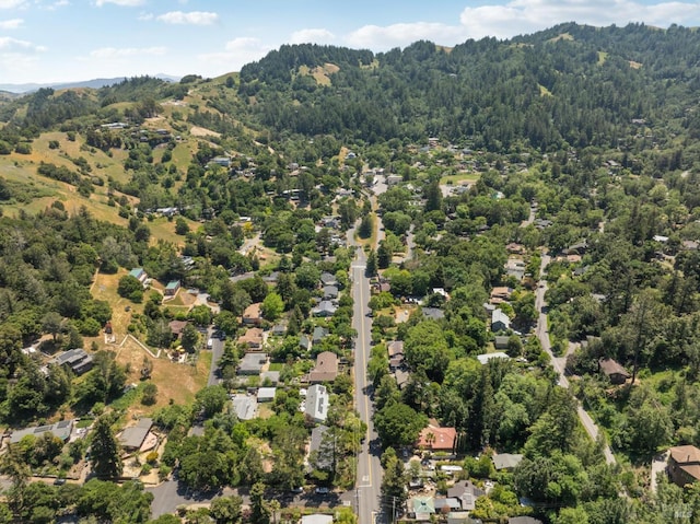 231 Railroad Ave, Woodacre, CA 94973 - aerial view of property's location featuring a heavily wooded area and mountains