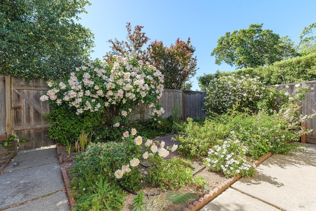22 Echo Ave, Corte Madera, CA 94925