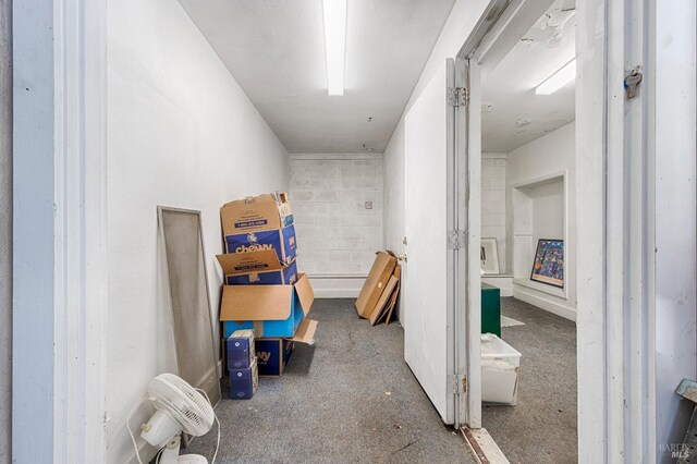 20215 Willow Rd, Monte Rio, CA 95462 - view of hall