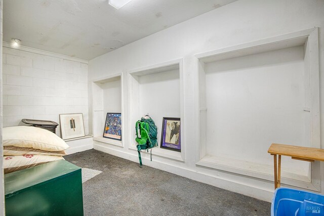 20215 Willow Rd, Monte Rio, CA 95462 - basement featuring carpet floors