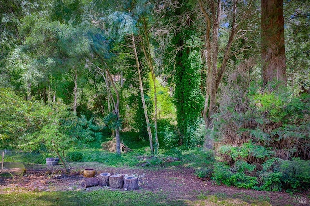 20215 Willow Rd, Monte Rio, CA 95462 - view of yard with a wooded view