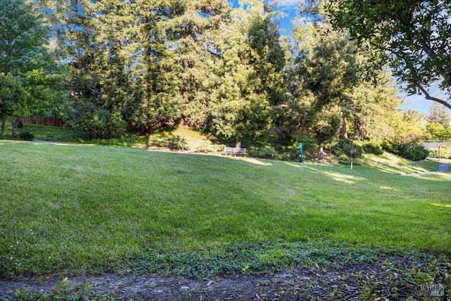 1358 Sylvan Ct, Healdsburg, CA 95448 - view of grassy yard