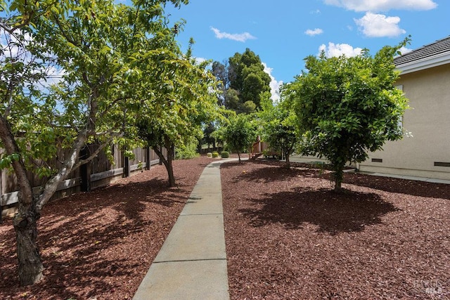 3704 Chapparal Ct, Fairfield, CA 94534 - view of yard with fence