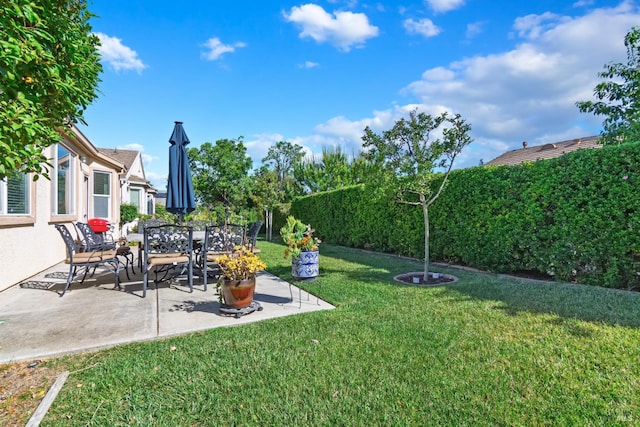 670 Turnberry Ter, Rio Vista, CA 94571 - view of green lawn with a patio area