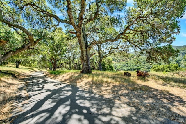 4661 Green Valley Ln, Fairfield, CA 94534