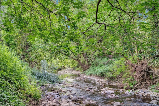 3371 Crystal Ct, Napa, CA 94558 - view of wooded area