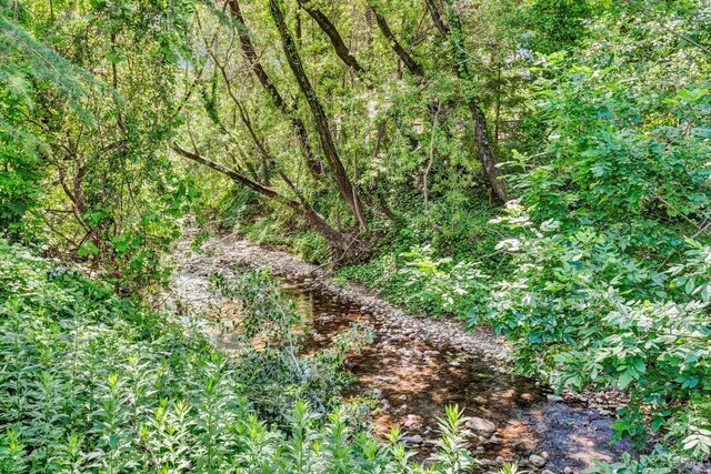 3371 Crystal Ct, Napa, CA 94558 - view of tree filled area