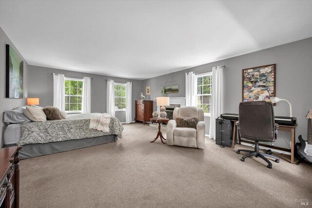 3371 Crystal Ct, Napa, CA 94558 - view of carpeted bedroom